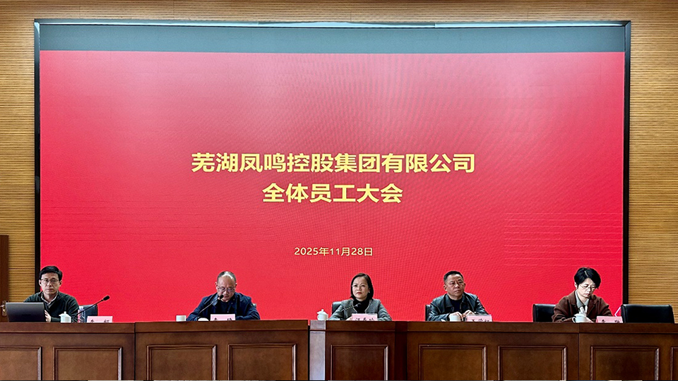 方达咨询助力芜湖经开区凤鸣集团深化薪酬绩效体系改革